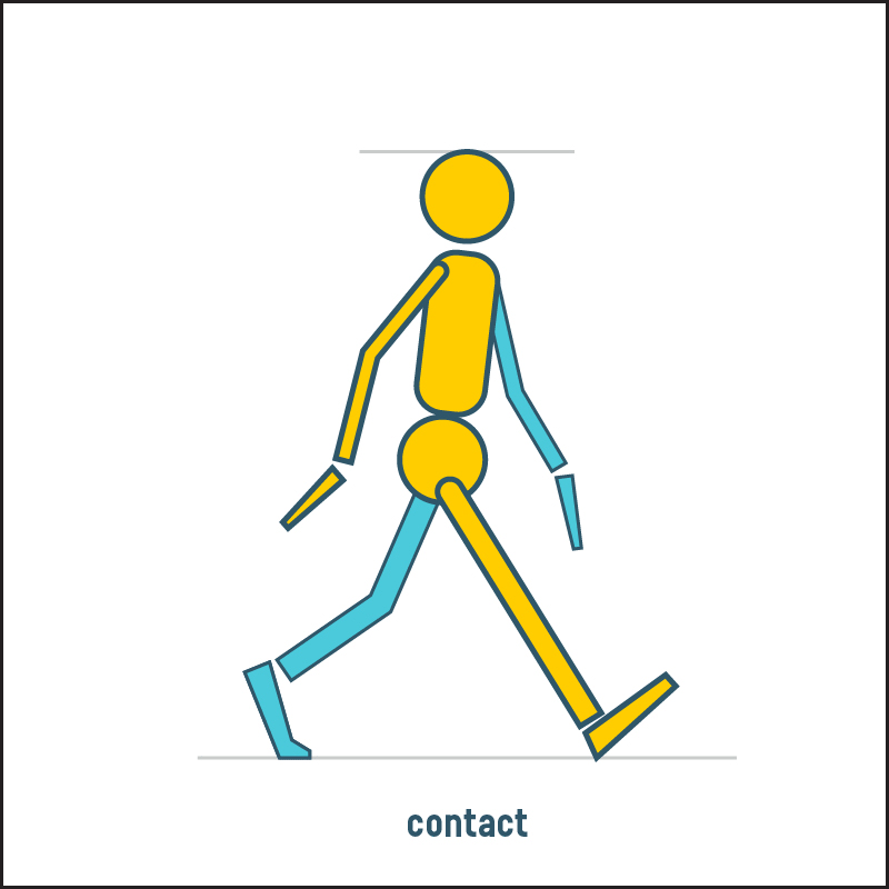 Animated walk cycle looping through the 8 key poses